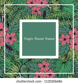 Tropical flower frame. Hand drawing design