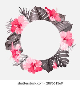 Tropical flower frame with text place. Vector illustration.