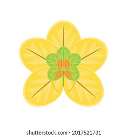 tropical flower frangipani isolated icon