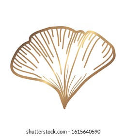 tropical flower garden golden decoration vector illustration design