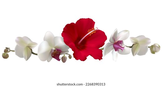 Tropical flower. Hibiscus. Floral pattern. Red. Isolated. White orchids.