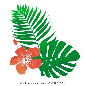 Tropical flower Hibiscus and palm leaves. Vector illustration.