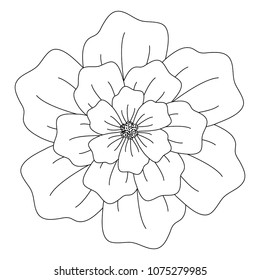 tropical flower icon