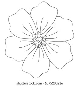 tropical flower icon