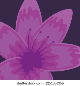 tropical flower icon