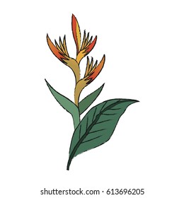 tropical flower icon