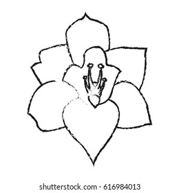 tropical flower icon image 