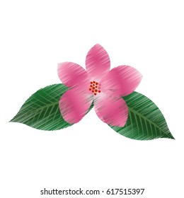 tropical flower icon image 