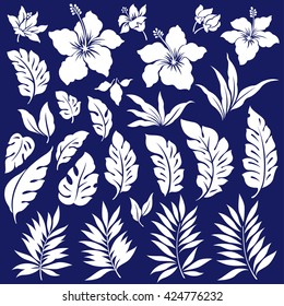 Tropical flower illustration
