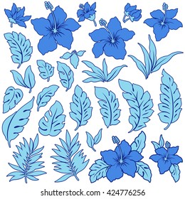 Tropical flower illustration