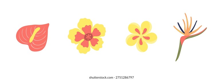 Tropical flower illustration isolated set. Seasonal bloom, blossom, summer holidays, vacations, resort. Jungle, rainforest plant. Flat floral design element, clip art collection, hand drawn vector