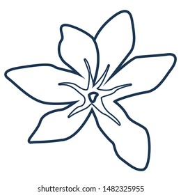 Tropical flower illustration in simple flat style. Beautiful floral design. Natural modern clip art. Vector isolated icon,thin lines contoured.Monochrome black and white feminine object.Cartoon sketch