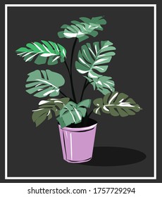 Tropical flower isolated. Can be split and scaled. Exotic Monstera in a ceramic pot. Green indoor, office and house plant. Flat vector isolated drawing on a color background. 