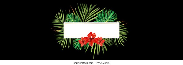 Tropical flower. Jungle palm and tropic background. Vector floral illustration. Green tropical flower banner
