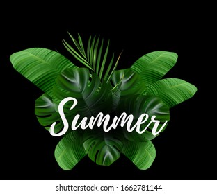 Tropical flower. Jungle palm and tropic background. Vector floral illustration. Green tropical flower banner.