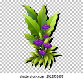 Tropical flower and leaf on transparent background illustration