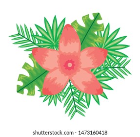 tropical flower and leafs plants
