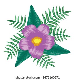 tropical flower and leafs plants