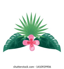 tropical flower leaves botanical decoration on white background vector illustration