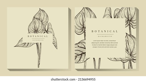 Tropical Flower and Leaves Illustration