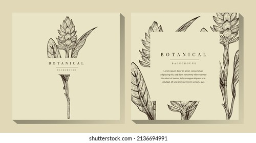 Tropical Flower and Leaves Illustration