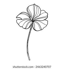 Tropical flower line art illustration