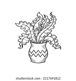 Tropical Flower On a Pot, Hand Drawn Illustration