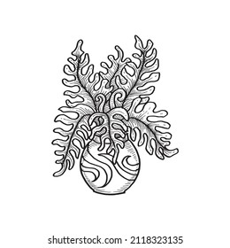 Tropical Flower On a Pot, Hand Drawn Illustration