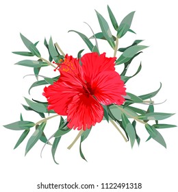 tropical flower on white background.