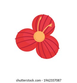 Tropical flower on a white background.