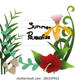 Tropical Flower on White Background, Vector