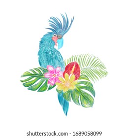 tropical flower paintings, birds and leaf illustrations - vector