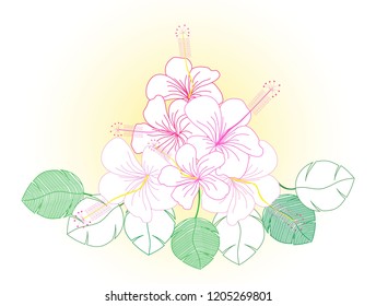 tropical flower with palm leaves elements bouquets isolated on white background 