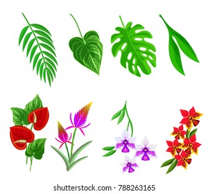 Tropical flower and palm leaves icons element set isolated on white