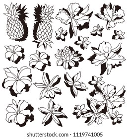 Tropical flower pattern