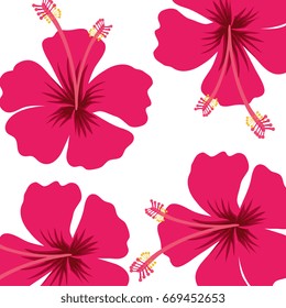 tropical flower pattern background