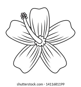 Tropical flower and petals nature cartoon in black and white