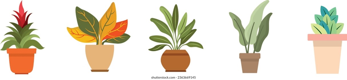 Tropical Flower Pot Vector Illustration, Various of Potted Plants, Colorful of Fresh Foliage, Fresh Leaves Plant