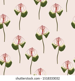 Tropical flower seamless pattern. Blossom Spathiphyllum flowers for nature background.