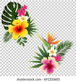 Tropical Flower Set Transparent Background, Vector Illustration, With Gradient Mesh