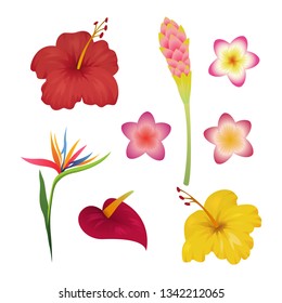 Tropical flower set. Tropic flowers fashion print. Hawaii caribbean polynesian bali indonesia plant garden vector background