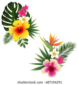 Tropical Flower Set, Vector Illustration, With Gradient Mesh