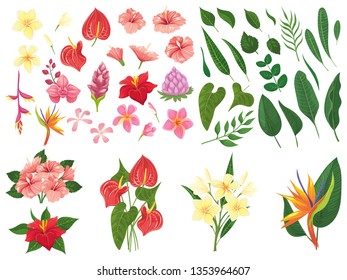 Tropical flower. Tropic forest flowers, exotic tropics plants leaves and flowering branch. Heliconia leafs, bali forest flower or hawaii flora. Vector illustration isolated symbols set