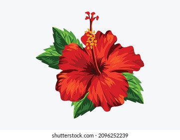 Tropical flower, vector design element isolated on a white background.
