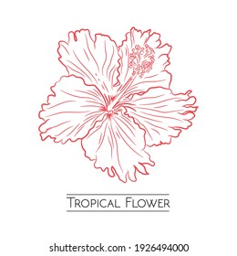 Tropical flower vector design in handrawn style