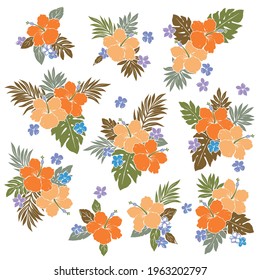 Tropical flower vector illustration material collection,