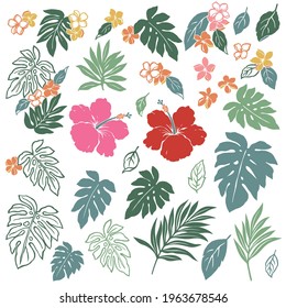 Tropical flower vector illustration material collection,