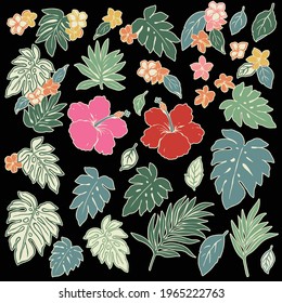 Tropical flower vector illustration material collection,