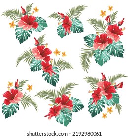 Tropical Flower Vector Illustration Material Collection Stock Vector ...