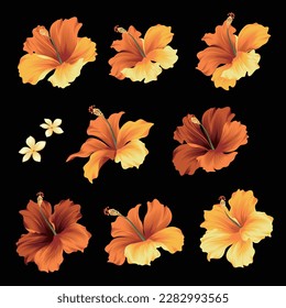 Tropical flower vector illustration material collection,